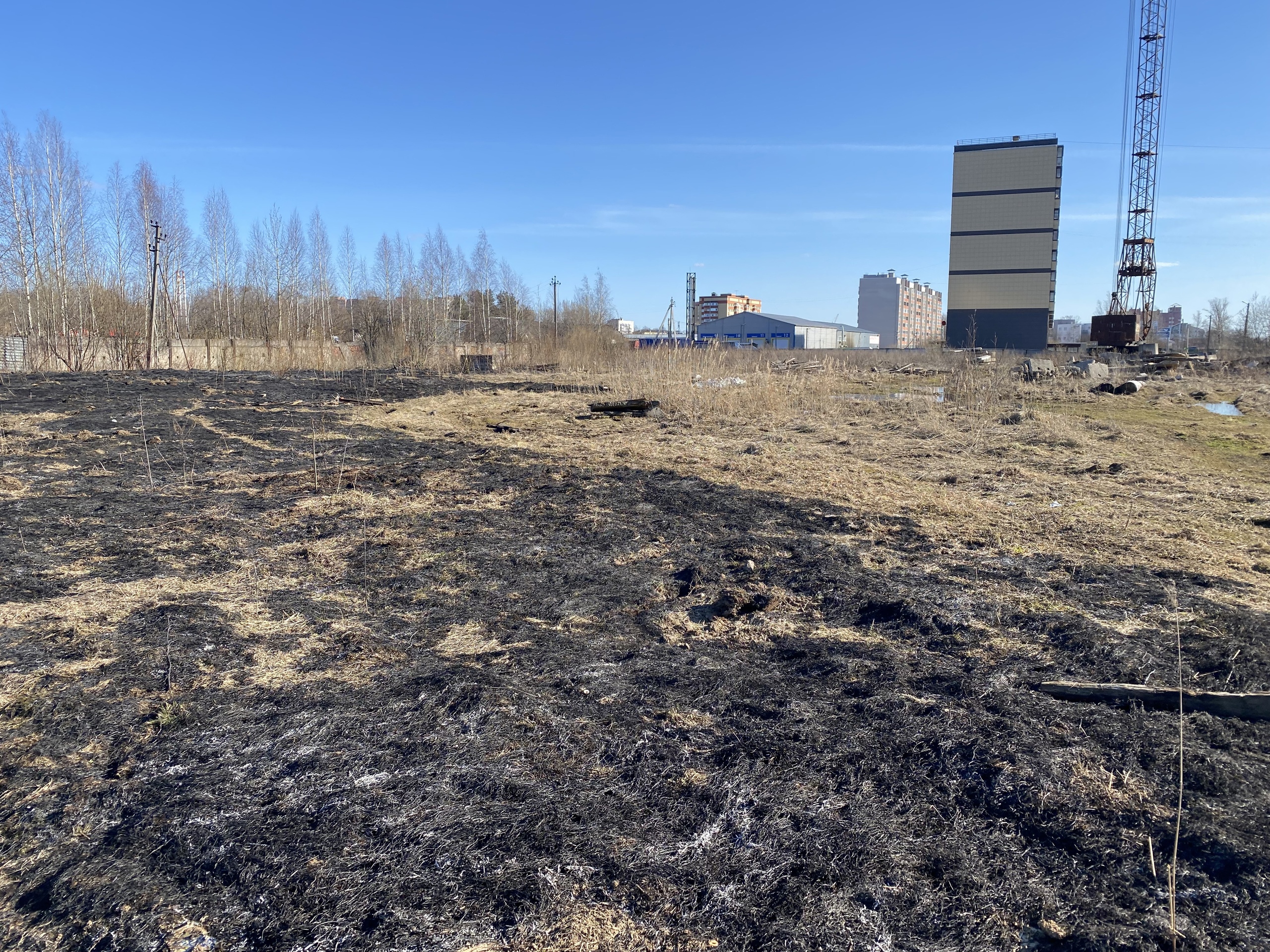 Отсчёт пошёл: в Вологде и Череповце зафиксированы первые палы травы